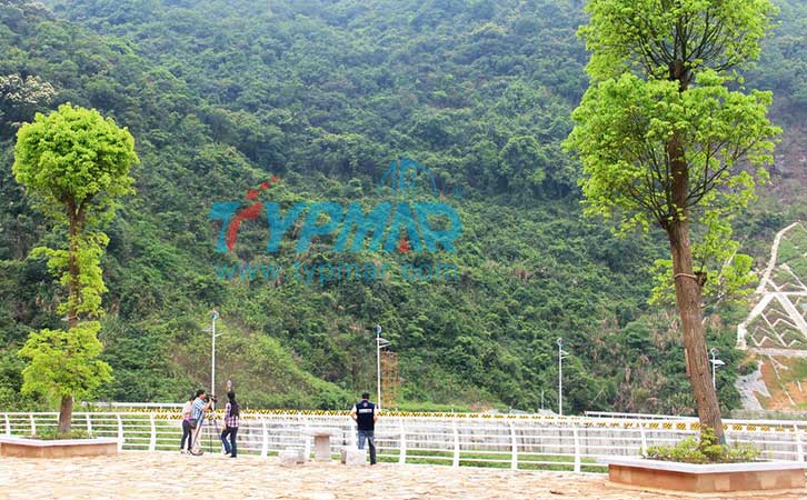 深圳碧嶺三洲田路風光互補路燈